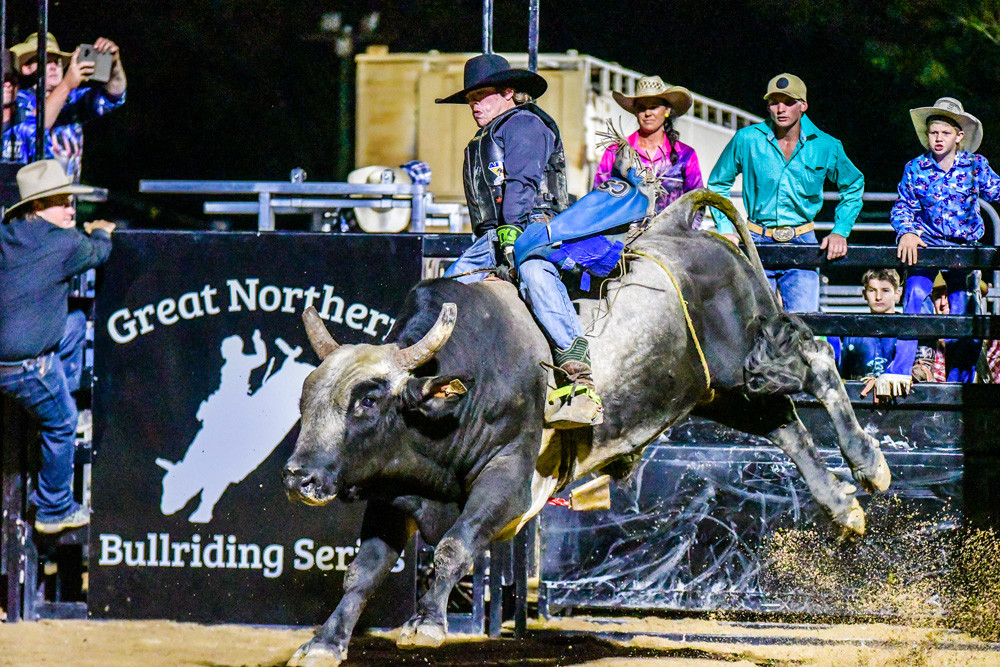 Bullriding action returns to the Mareeba Rodeo Grounds this Saturday for the first round of the Great Northern Bullriding Series. Photo by Peter Roy