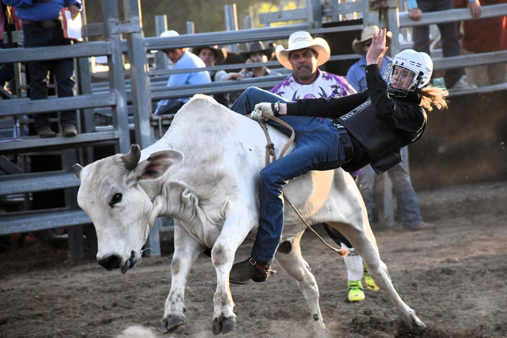 Hold on to your hats: a bumper crowd expected for this year’s Mt Carbine Bull and Bronc Ride.