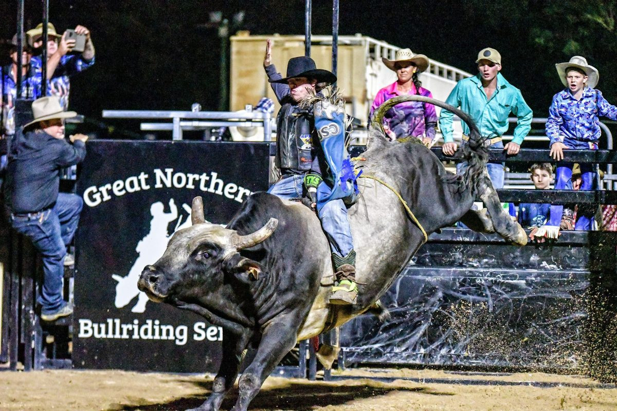 Bulls ready to buck - feature photo