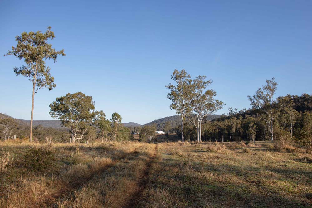 Art Energy has withdrawn its proposal for the Wooroora Station Wind Farm near Ravenshoe.