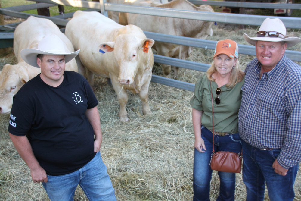 Shane Strazzeri (L), had a good Field Day, selling 4 bulls to Darren and Melissa Pedracini of Georgetown, including this Charolais bull that will be put over a mob of Charbray heifers at Lornevale.