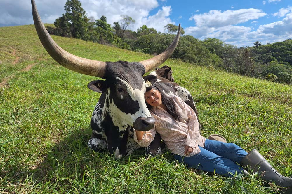 The Long Horn cattle breed has captured the eyes of many for their unique long pointed horns, but for farmer, Dr Jeni Davila Mendez (pictured) and Reuben Wertz, their long horns are protectors of their Tablelands Lowline Beef stud in Tarzali