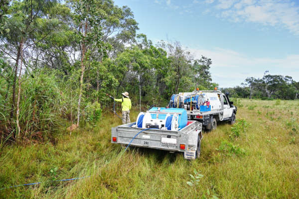 Councils combat Gamba Grass - feature photo