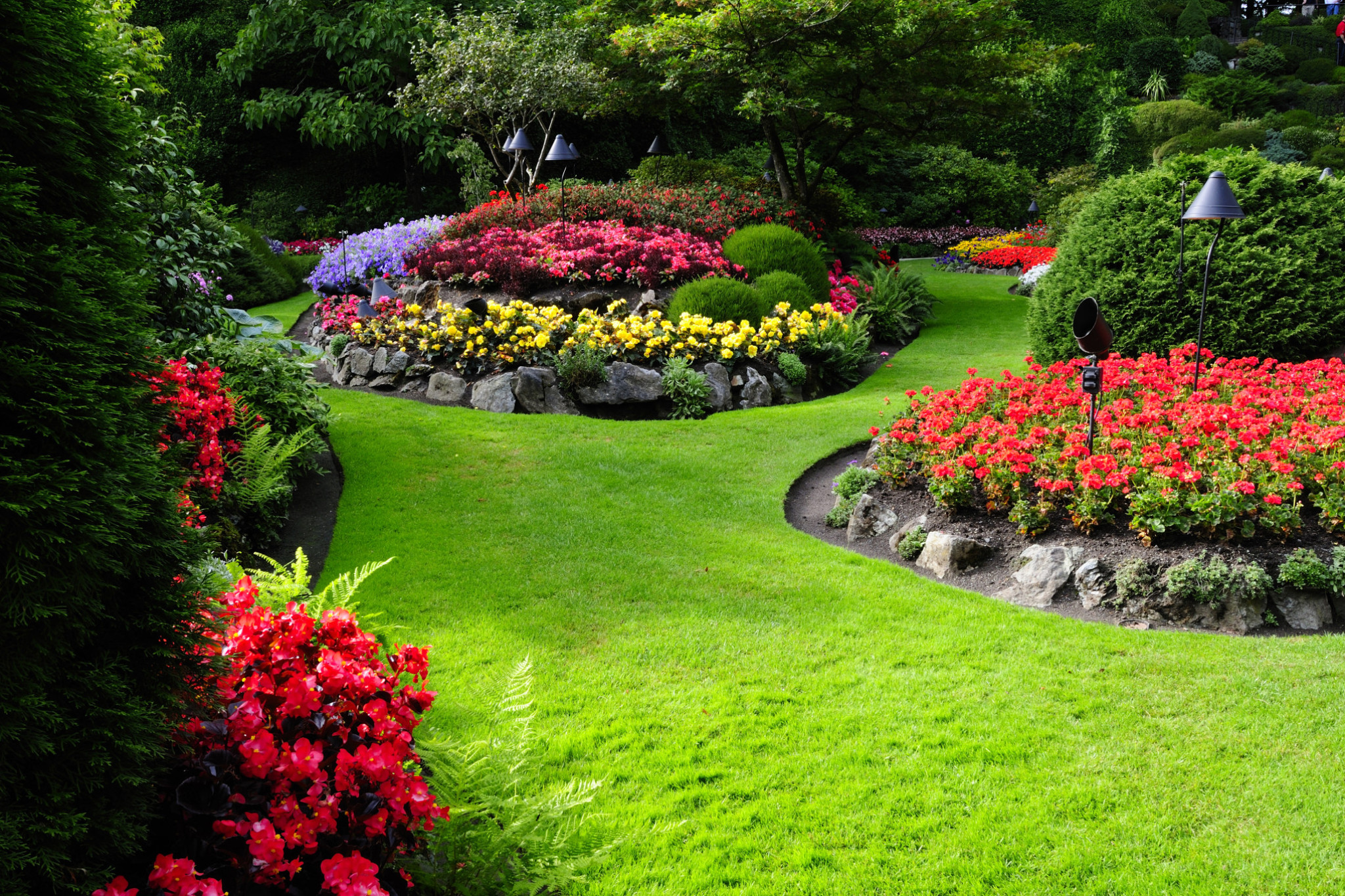 Lions give new life to garden awards - feature photo