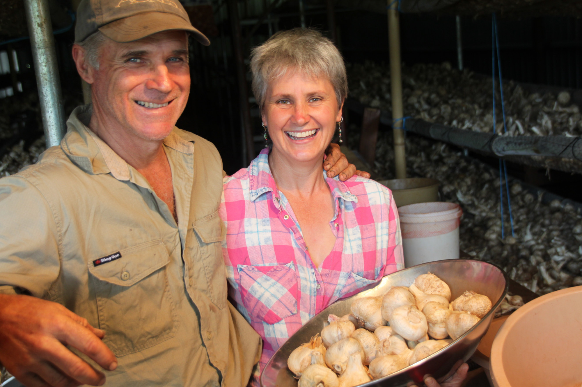 Adam Collins and Gwen Bocci have recently harvested their largest ever crop of Russian and True garlic on their organic and biodynamic farm at Kaban, just outside Ravenshoe