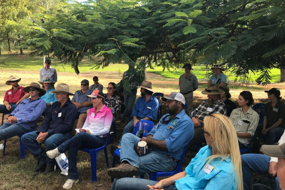 Cape York graziers find help at Forum - feature photo