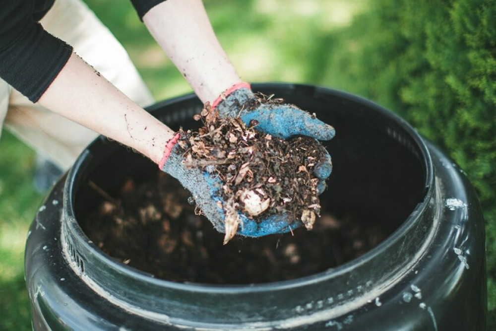 Reduce waste and take up composting - feature photo