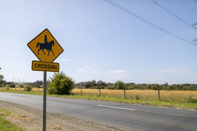 Motorists reminded of laws for horses