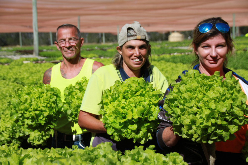 Ongoing expansion at the "Fresh Leaf Farms" Wondecla site have opened up new job vacancies for more local staff like Michael, Mariana Agostino and Production Supervisor, Nikki Scammell