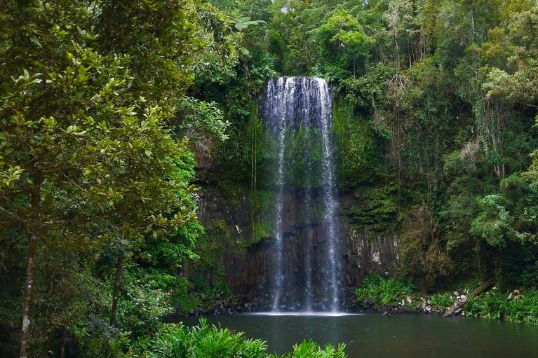 New plan for iconic Millaa Millaa Falls