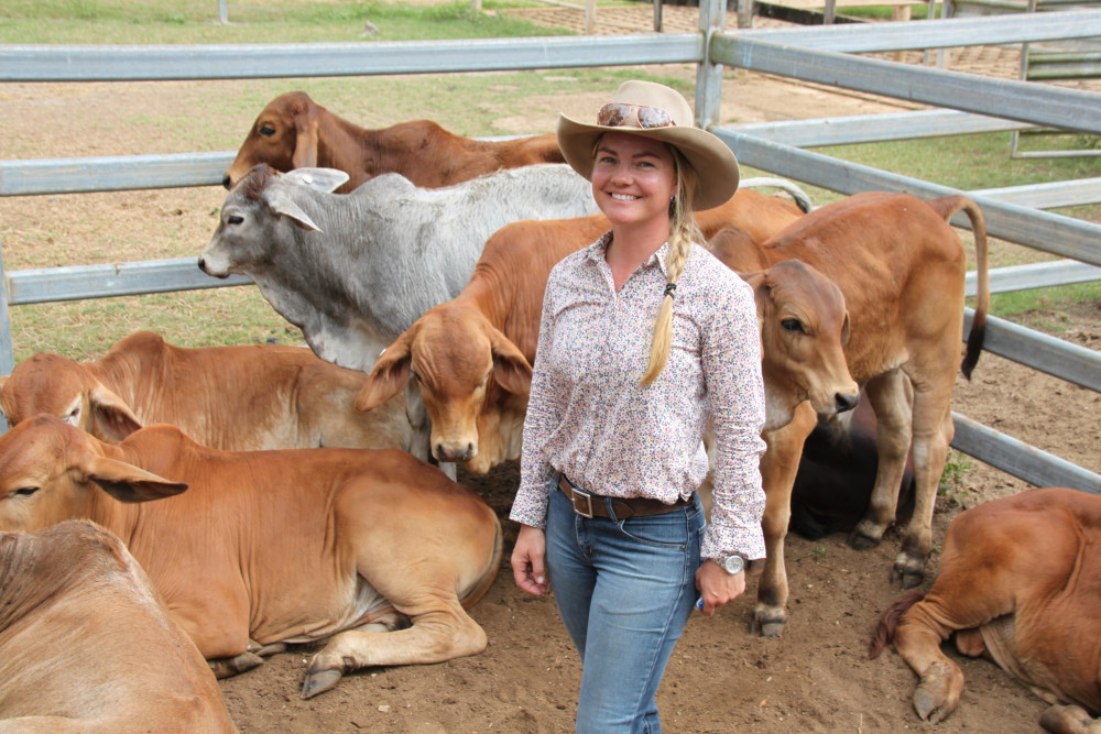 Catherine McMahon from Upper Barron was one of the keen local buyers looking for cattle at last week's sale. She had her eye on this pen of quiet young weaners, but found their sale price of $5.58/kg too far beyond her budget.