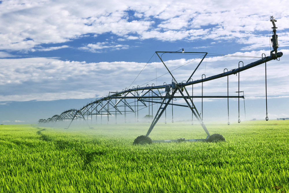 QCA to review irrigation prices - feature photo