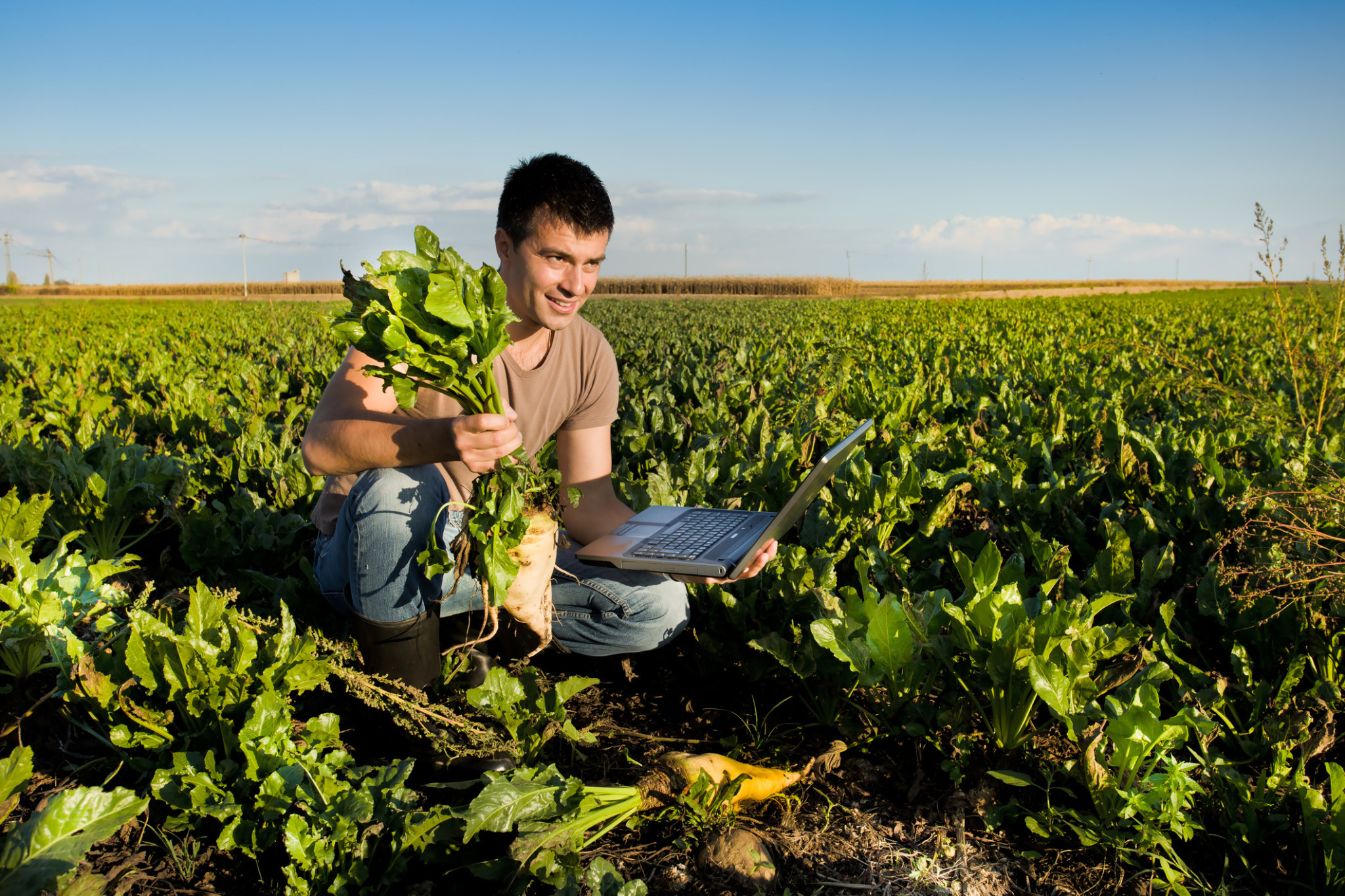 Search for emerging ag leaders - feature photo