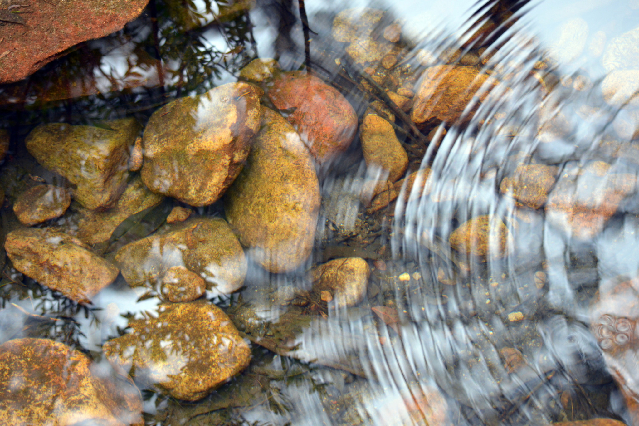 Urgent action needed on Garnet pool closure - feature photo