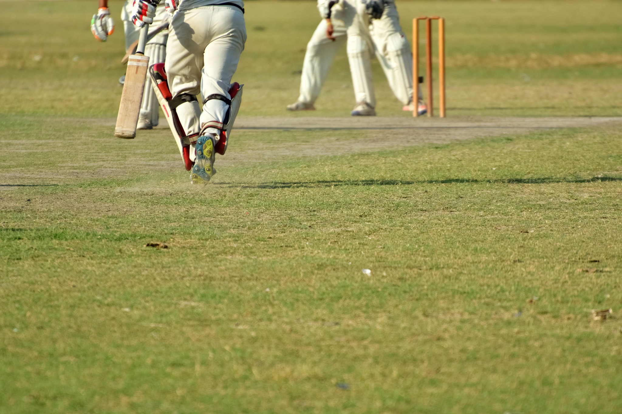 Local cricket sides routed - feature photo