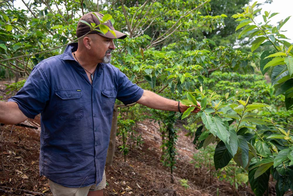 Atherton Tablelands cane farmer Adrian Gallo inspecting revegetation on his stream bank.