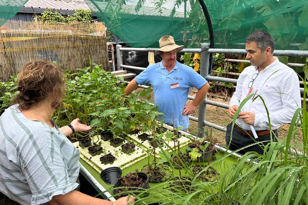 Jen McHugh (JCU), Rodney Ingersoll (Barren River Red Claw) and Ben Jarihani (TNQ Drought Hub) discussing aquaponics at the ag-tech event.