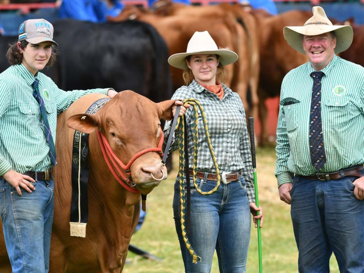 Quality stock on show at Atherton | The Express Newspaper Mareeba,  Atherton, Cooktown, Kuranda, the Tablelands & the Far North.