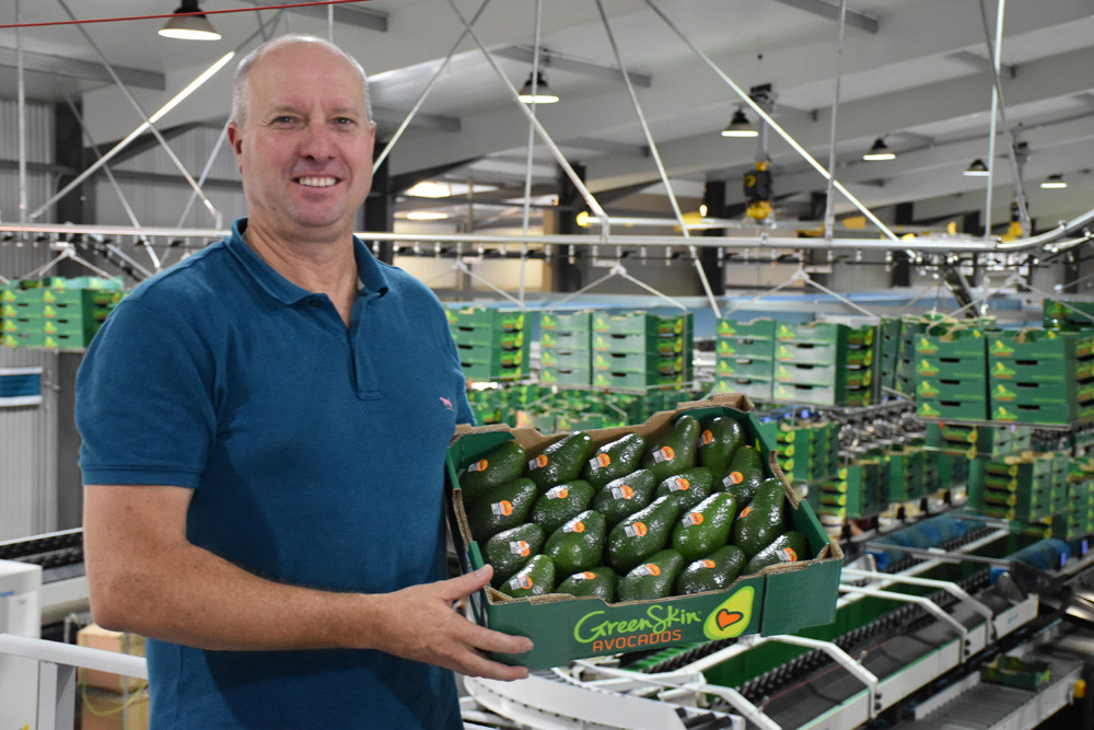 Pack Centre director and Avocados Australia North Queensland director Matthew Kleyn with just one of the millions of trays of avocados that will soon be making their way out of Pack Centre in Tolga