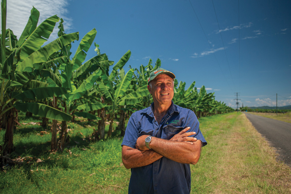 Banana grower Sebastian De Salvo is back on track after receiving a grant to help him recover after Cyclone Niran hit the region two years ago. BELOW: The damage done to the plantation as a result of Cyclone Niran in early 2021