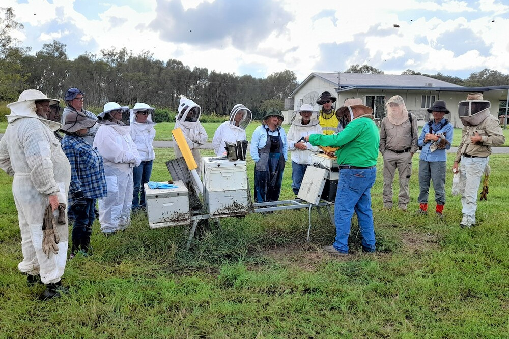 Suited up in their protective gear, the group inspected a hive to check honey flow, queen health and its pest and disease status during a two-day Beekeeping for Beginners workshop.