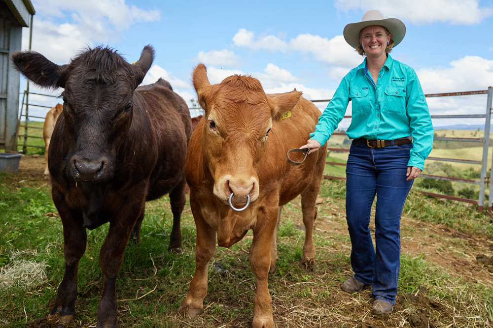 Pictured is Charlene Pedersen from Fassifern Limousin Stud at Tarzali, which was one of 14 studs that took part in last year’s Better Beef Open Day