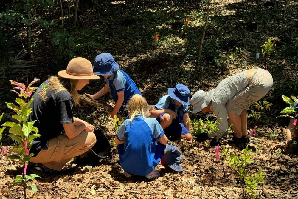 School children took part in a number of interesting activities during the recent BioBlitz event at Malanda.