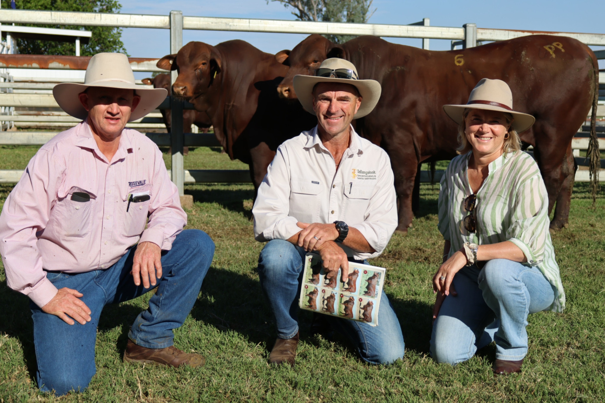 Rosevale’s David Greenup with Tallangalook principals Nick and Alison Trompf and their purchases at the 68th annual Rosevale bull sale. Photo: Brad Cooper, Santa Gertrudis Australia.