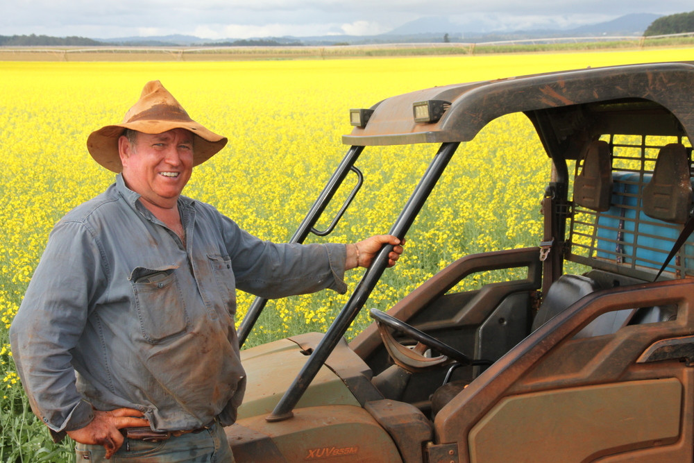 Canola crops are pretty rare in Far North Queensland, but Pompey Pezzelato is having great success with his presold 30ha crop that is on track to match southern returns.