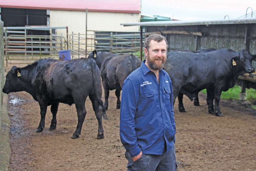 By entering Brangus and Ultrablack steers in the north's fi rst MSA carcase competition, Gordon Carcary hopes to gain valuable feedback for their stud operation.