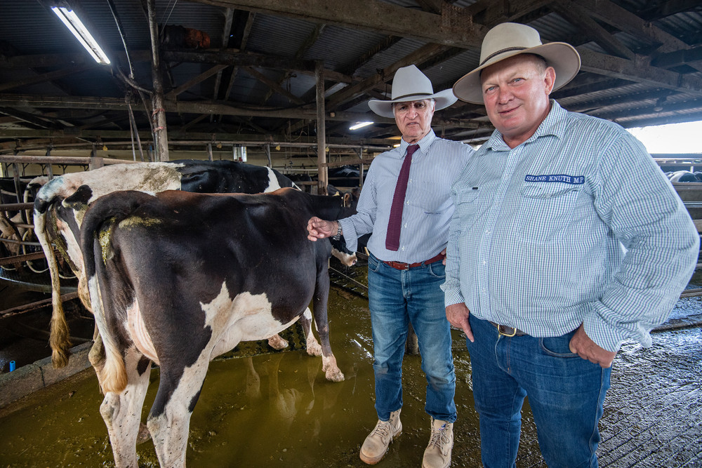 MPs Bob Katter and Shane Knuth at Gallo’s Dairyland. Picture: BRIAN CASSEY.
