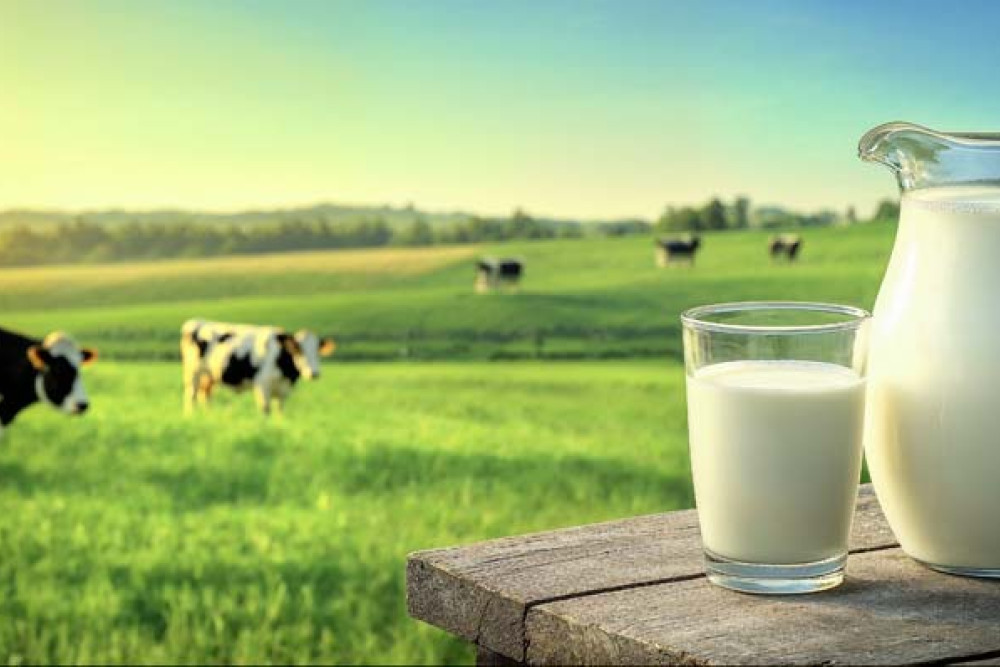 Aussie milk sector focus of report - feature photo