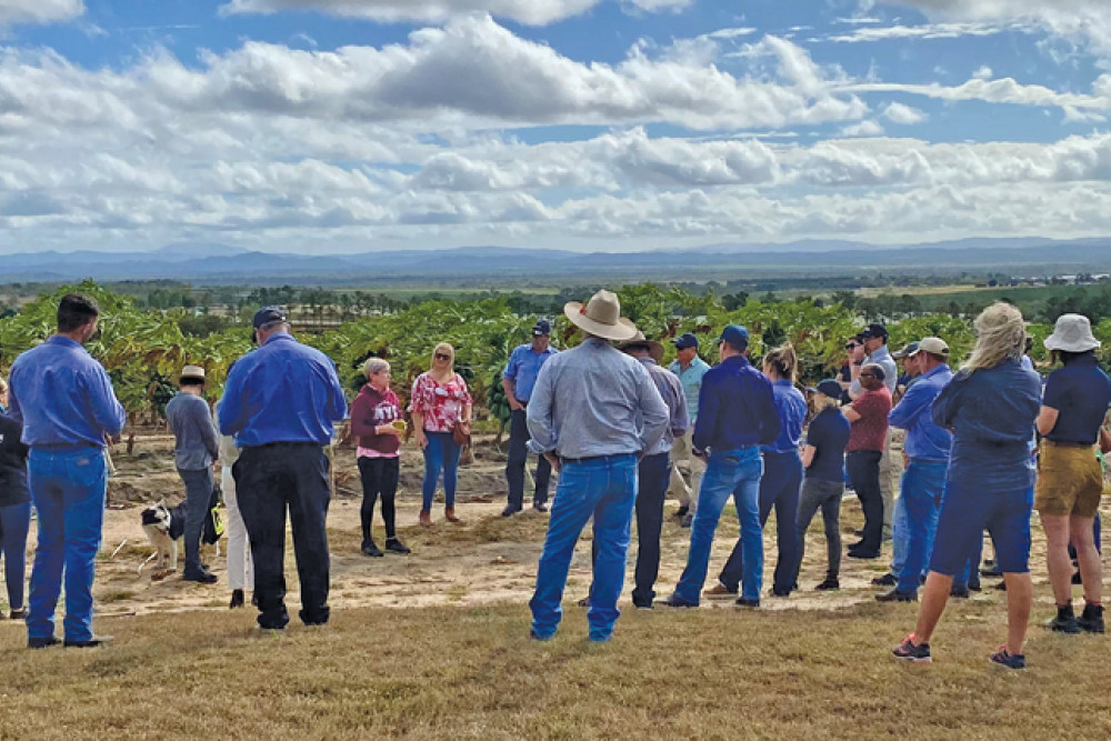 It was a beautiful day for the Skybury tour for the group. PHOTOS: Tahna Jackson