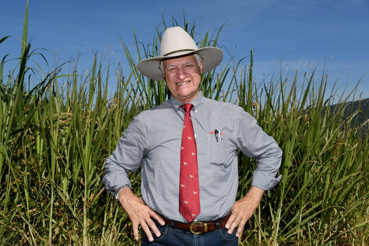 Katter pitches mill fix amid calls for State help - feature photo