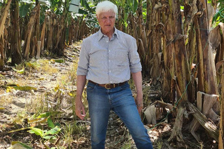 Federal Member for Kennedy Bob Katter is calling for more export market acccess for growers