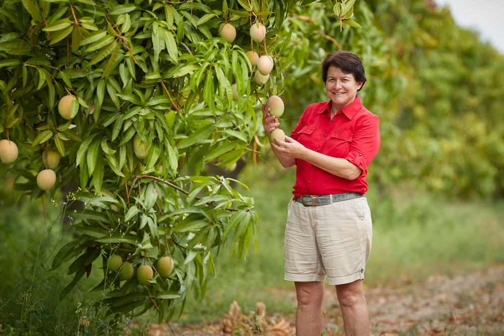 Entrepreneur, farmer and business woman and local girl made good, Marie Piccone of Manbulloo Ltd bought a few run down mango farms in the Northern Territory in the early 2000's and has built capacity until she is now the largest producer of Kensington mangoes in Australia. She said the company's Tableland farms were an extremely important part of her operation.
