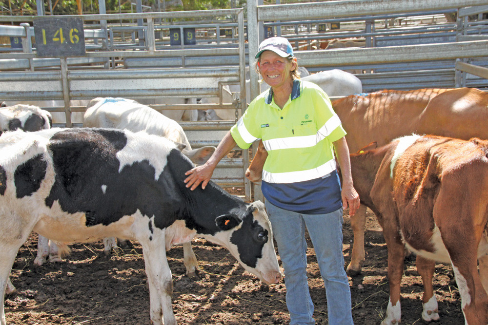 It was a sad day for Nicky Harvey of Biboohra as she said goodbye to her seven dairy/Wagyu and beef cross steers and bulls. The ongoing dry and increased cost of feed forced the sale of part of her young herd which averaged 172kg and $633.87/hd
