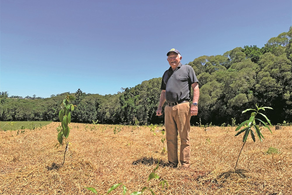 LINKING NATIONAL PARKS: 2500 trees have been planted on Michael McAuliffe’s Tablelands property with the help of TREAT volunteers and a grant from Terrain NRM.