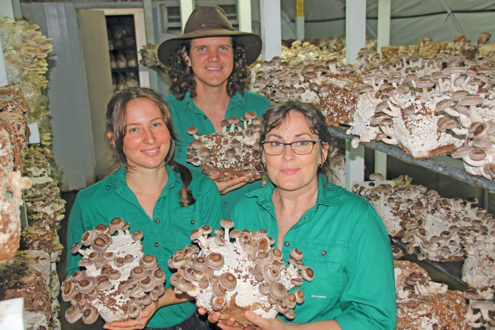 The East Barron "Golden Oak Produce" mushroom farm is entering a new stage of its life under the stewardship of Ashleigh Short, Tom O'Connor and Shelley Berry-Porter, who bought the property 18 months ago.