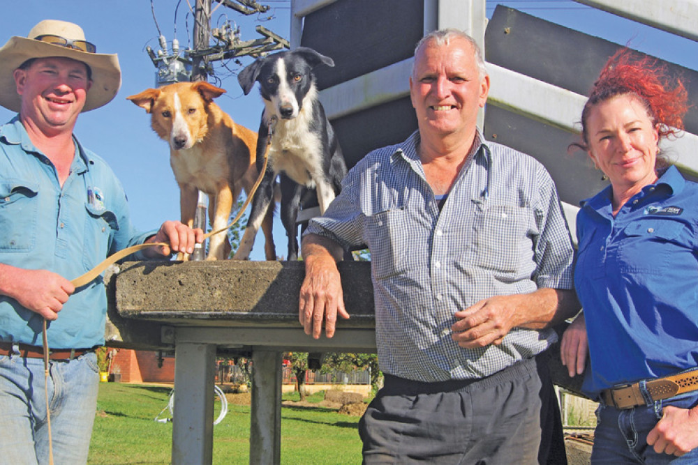 Isaac Ramsay, Neil McDonald and Mandie Scott of Millstream Springs, Millaa Millaa with working dogs Tilly and Bron.