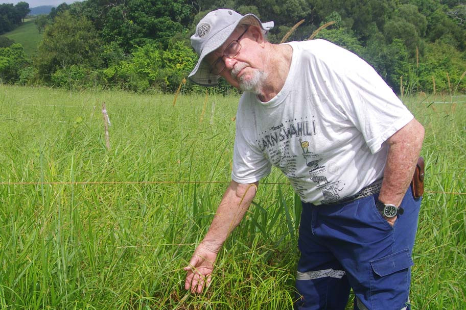 John McKenna, a local Malanda Beef Plan Group member, has gladly given up a small portion of his property for long term herbicide evaluation for the control of Navua sedge.