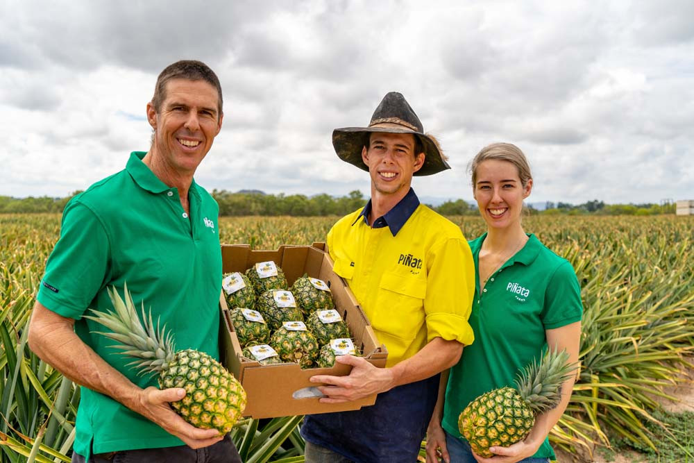 Mareeba-based general manager tropicals Stephen Scurr (left) with son Ben and daughter Courtney Thies.