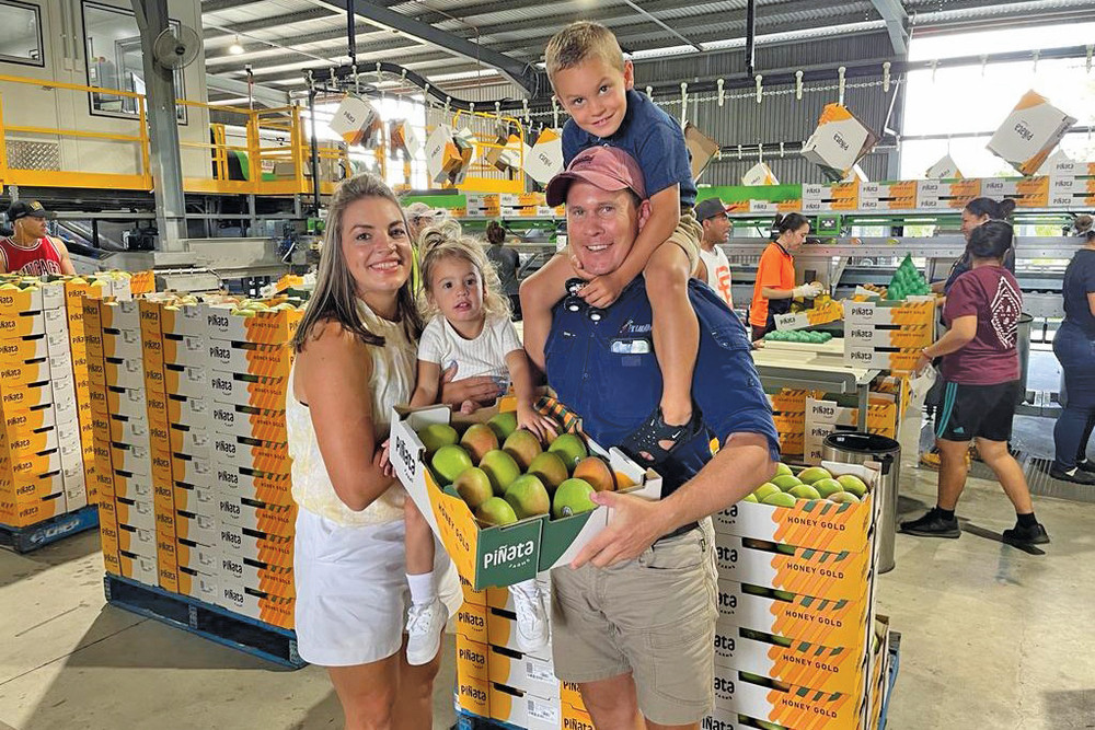 Local farm takes out mango grower award - feature photo