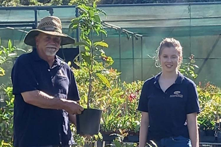 Bruce Jenkins and valued team member Milyan Lofts amongst thriving, young, potted rainforest trees.