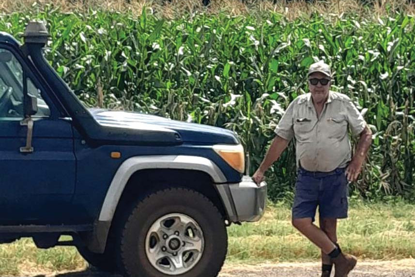 Tolga farmer Joe Trimarchi in front of his corn crop that is being decimated by cockatoos. LEFT: Widespread destruction caused by the cockatoos is evident.