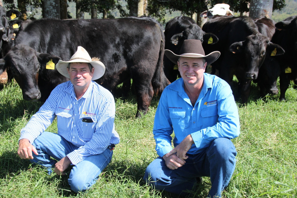 Relatively recent starters in the cattle agent game, Kenny Weldon and Luke Hickmott are grateful to have a mentor like Wayne Shepherd to show them the ropes.