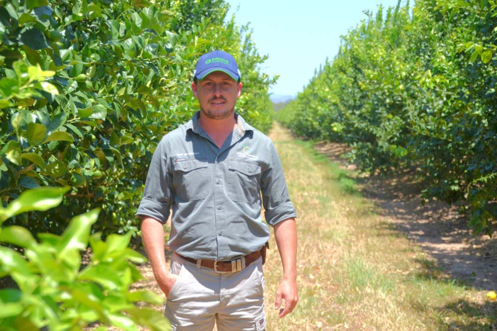 Wim Van Niekerk (pictured) of Widem Farming received $200,000 from the latest round of RED grants for the construction of a second de-greening facility.