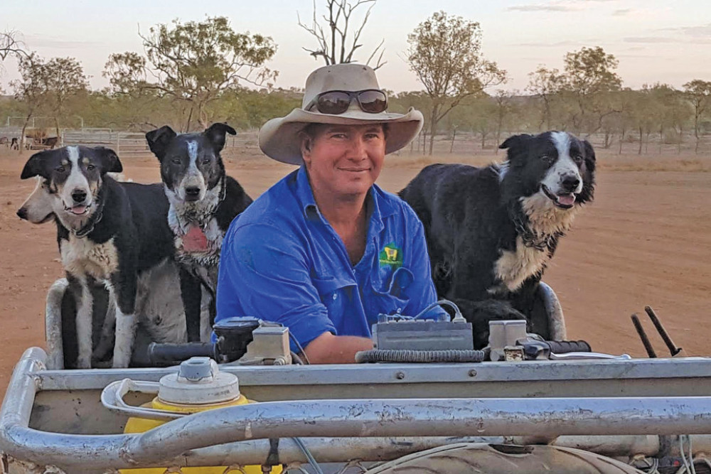 Thrilled with the result of the recent online auction, Isaac Ramsay of Tomana working dogs, Tarzali said it was sometimes hard to part with his dogs after working with them for 12 months prior to sale.