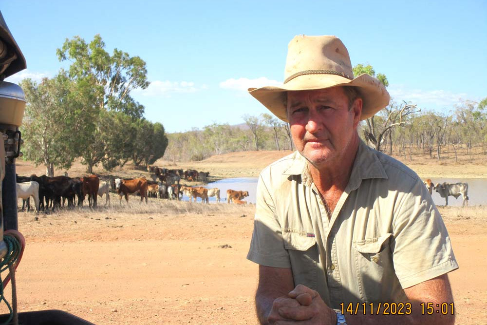Mt Carbine’s cattleman Alan Pedersen has welcomed the Senate inquiry