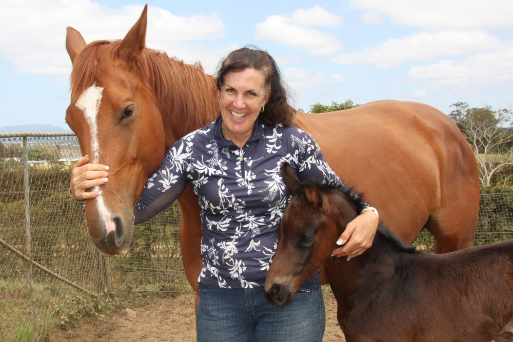 Linda McKinnon of Regal Warmblood Stud is thrilled with her new season run of females foals as fillies give her the luxury of building another genetic layer into her herd.